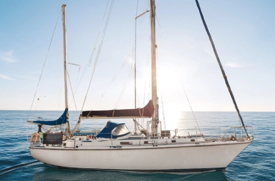 Westerly Conway 36 used - photo 1