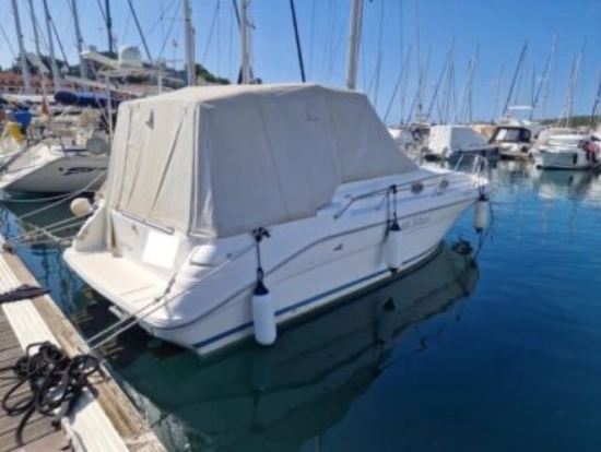 Sea Ray Sundancer 290 gebraucht - Foto 1