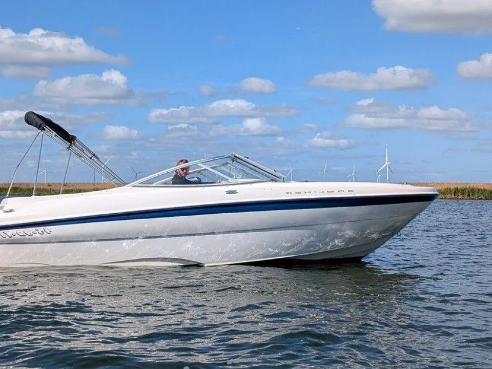 Bayliner 219 SD gebraucht - Foto 1