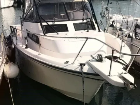 Grady White Boats 300 Marlin WA usato - foto 1