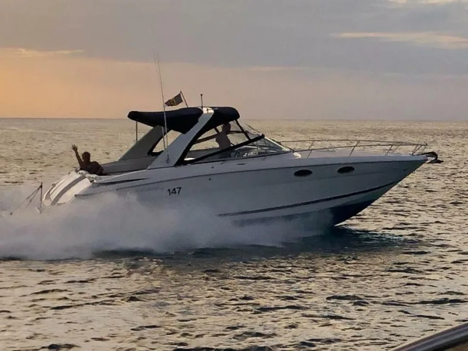 Regal 3350 gebraucht - Foto 1