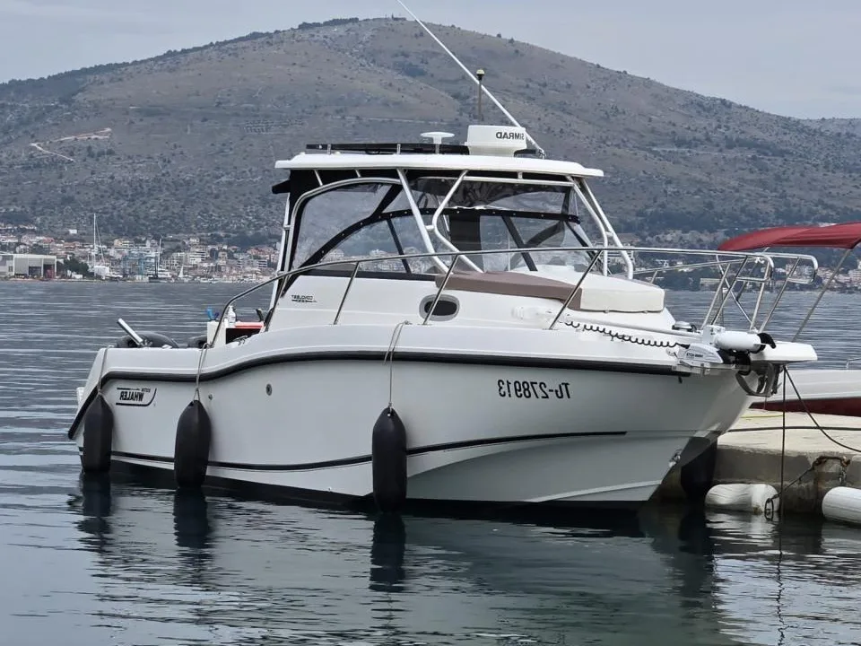 Boston Whaler Conquest 255 used - photo 1