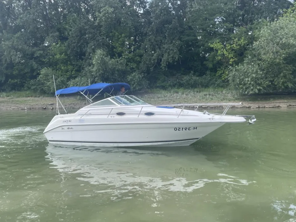 Sea Ray 250 DA Sundancer usato - foto 1