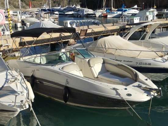 Sea Ray Sundeck 260 gebraucht - Foto 1