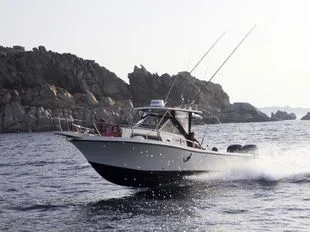 Mako 260 WA d'occasion - photo 1
