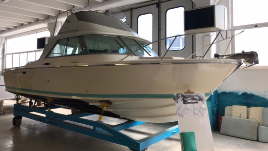 Riva 25 Sport Fisherman usato - foto 1
