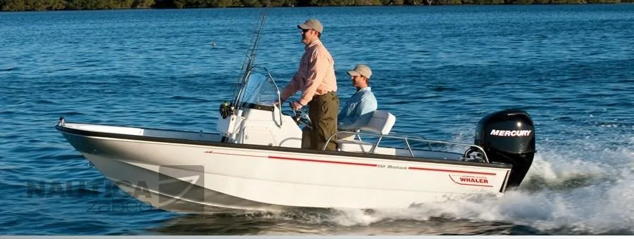 Boston Whaler 150 montauk usato - foto 1