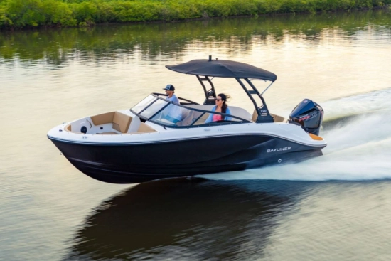 Bayliner V20 usato - foto 1