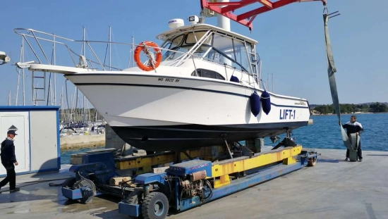 Grady-White MARLIN 300 gebraucht - Foto 1