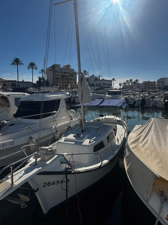 Llauts Mallorquins 6 94 METROS usato - foto 1