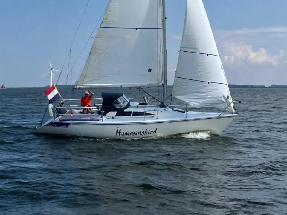 Hunter HB31 used - photo 1