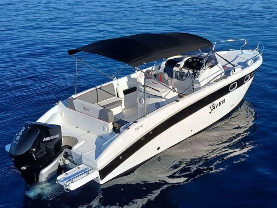 Saver 750 W.A. mit Mercury F 200 V6 gebraucht - Foto 1