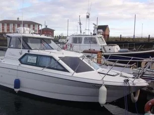 Bayliner 2452 Ciera gebraucht - Foto 1