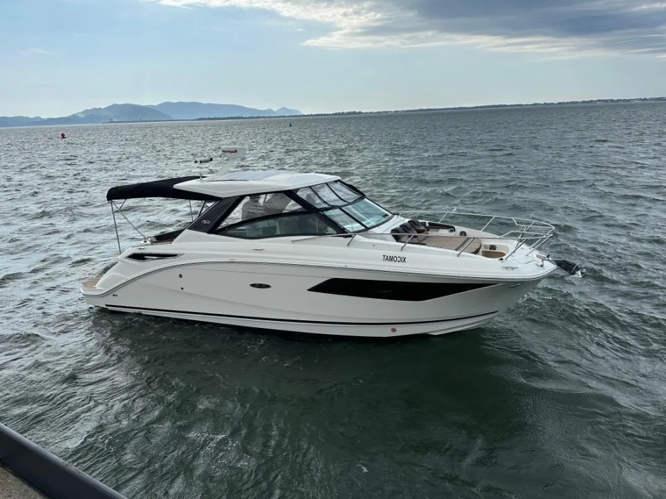 Sea Ray 320 Sundancer used - photo 1