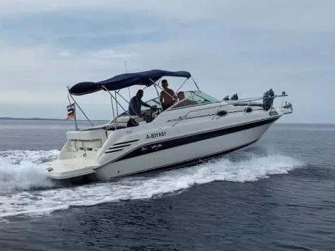 Sea Ray 250 Sundancer gebraucht - Foto 1