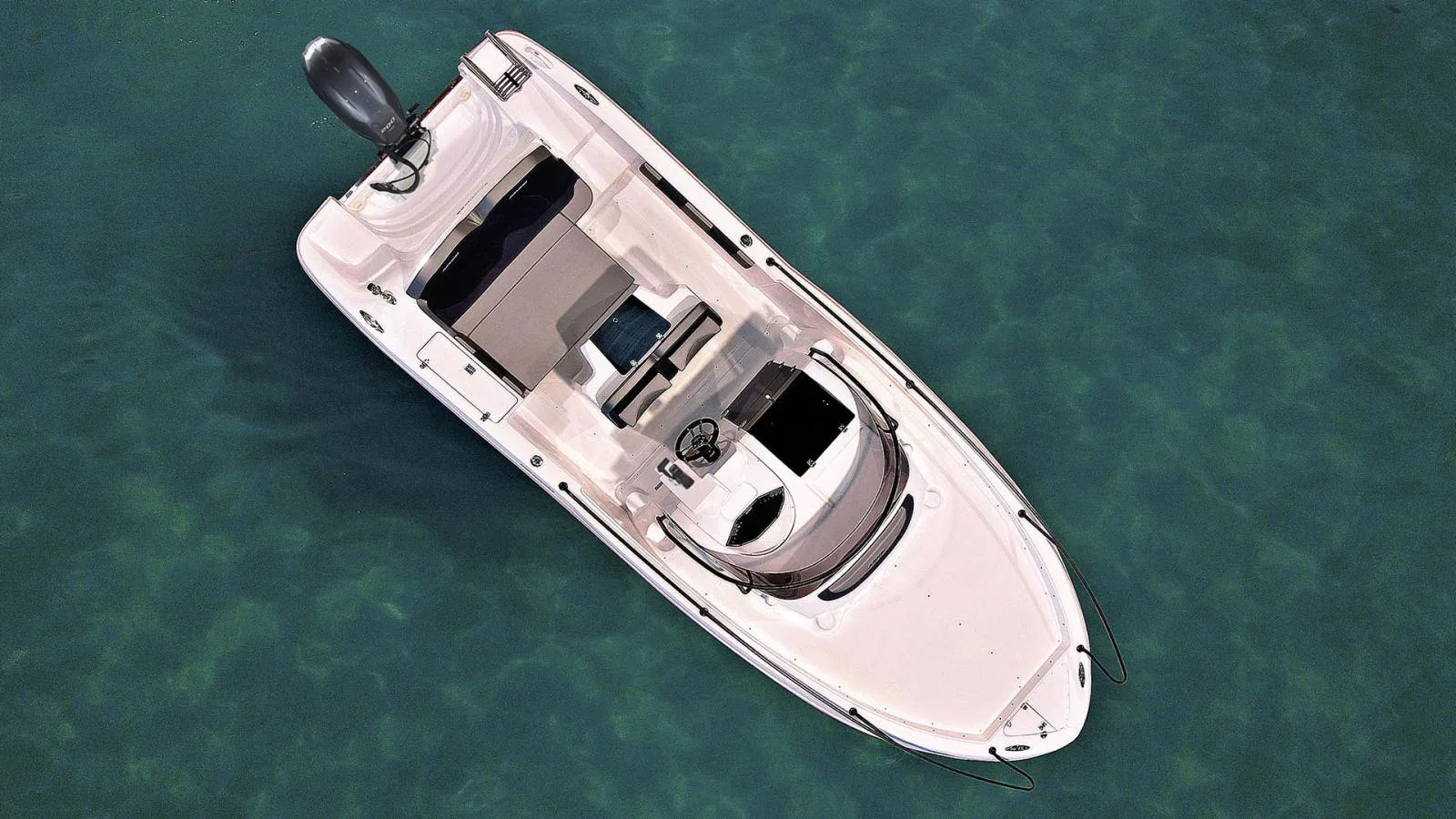 Ranieri Sauvage 22 used - photo 1