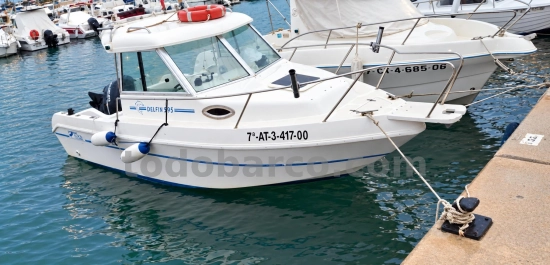 Felco DELFYN 595 usato - foto 1