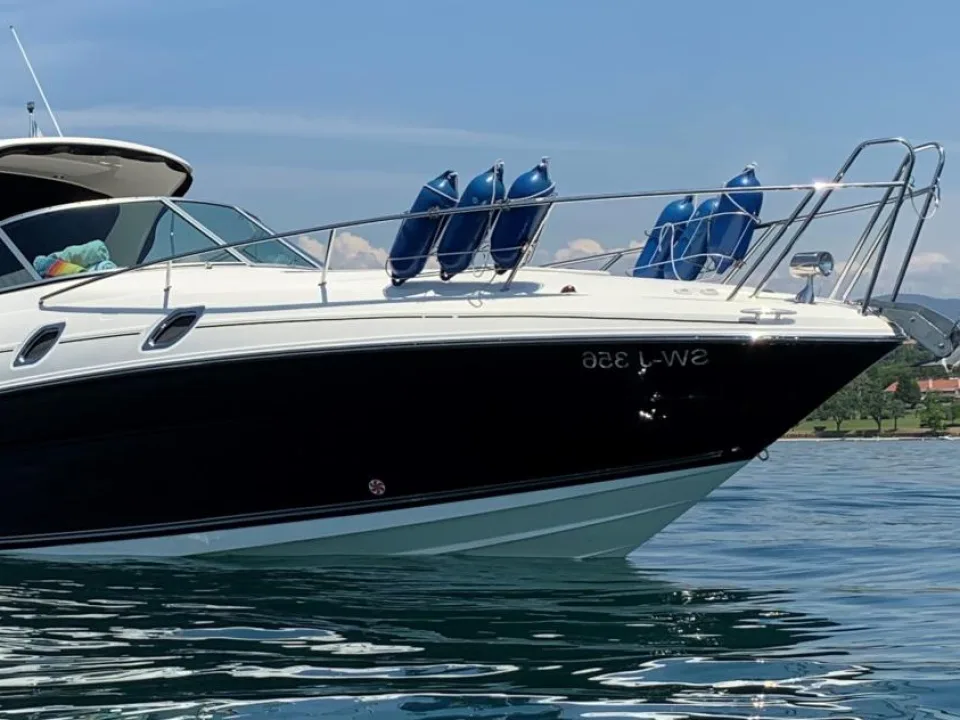Sea Ray Sundancer 305 DA gebraucht - Foto 1
