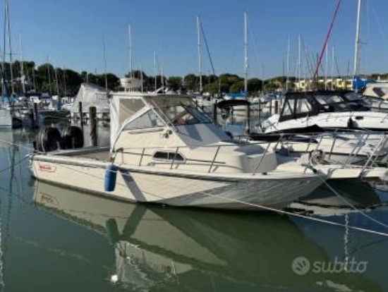 Boston Whaler custom used - photo 1