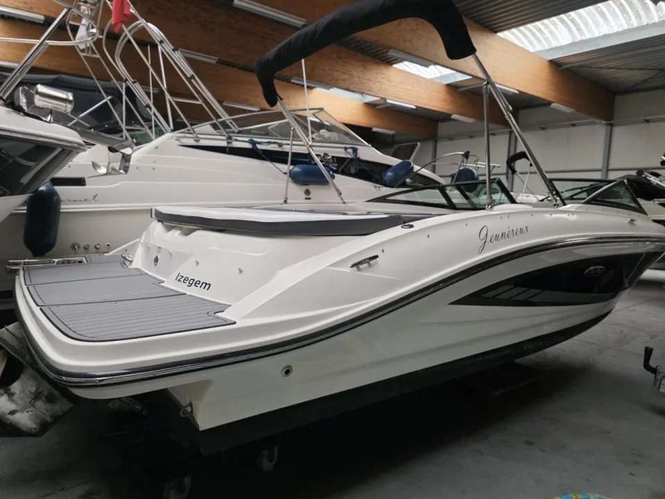Sea Ray 21 SPX gebraucht - Foto 1