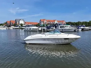 Sea Ray 215 Express Cruiser gebraucht - Foto 1
