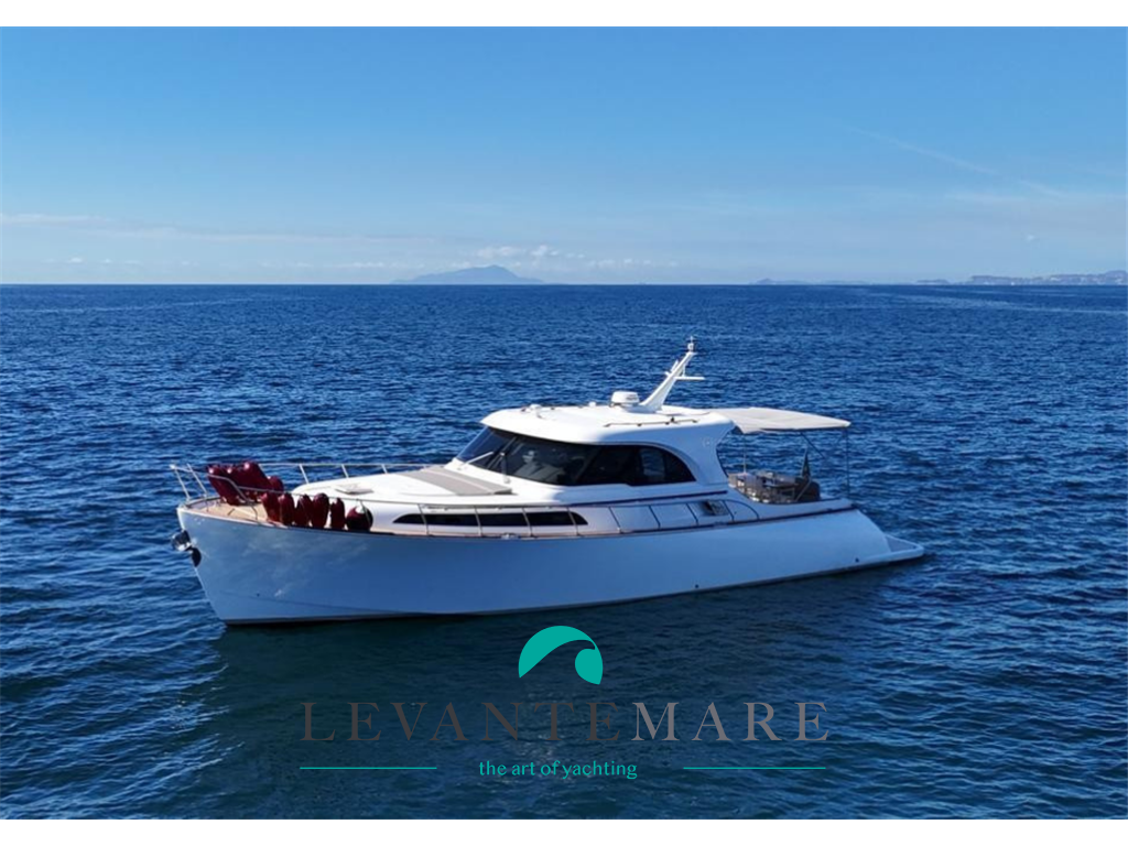 Mochi Craft Dolphin 51 used - photo 1