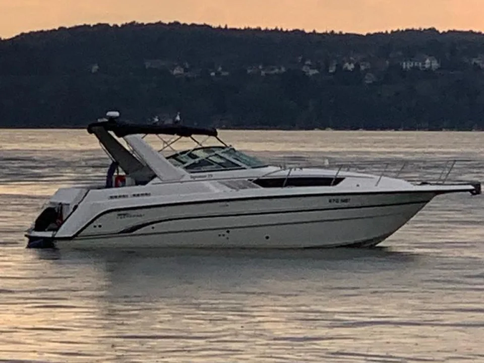 Chaparral 29 Signatur used - photo 1