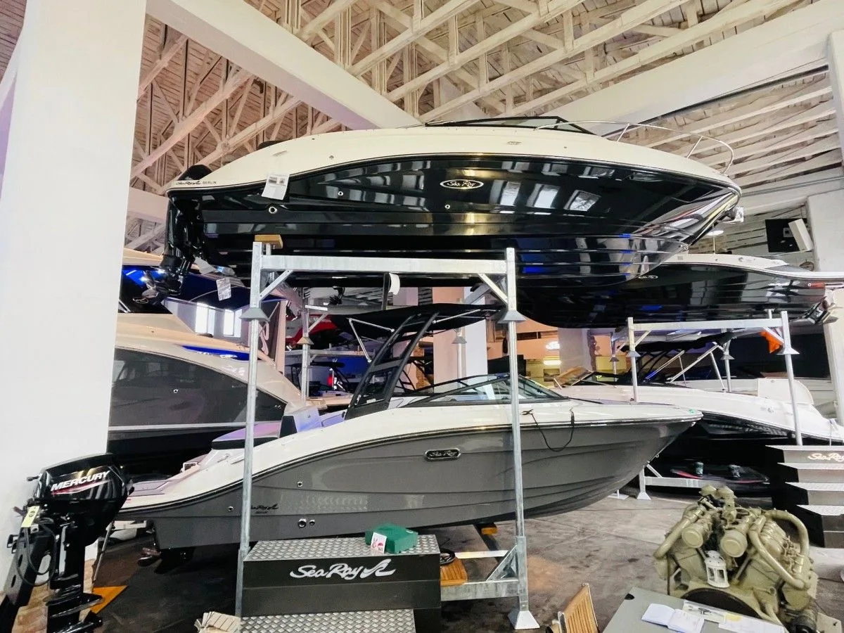 Sea Ray SPX 210 Special 24 gebraucht - Foto 1