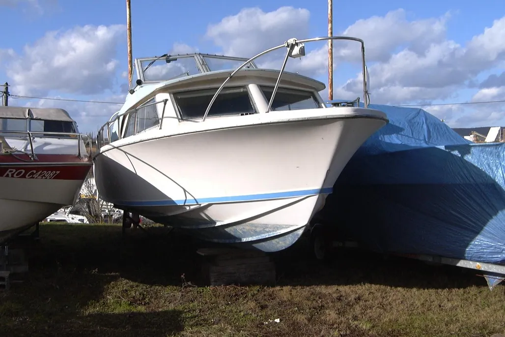 Bertram 25 Express Cruiser used - photo 1