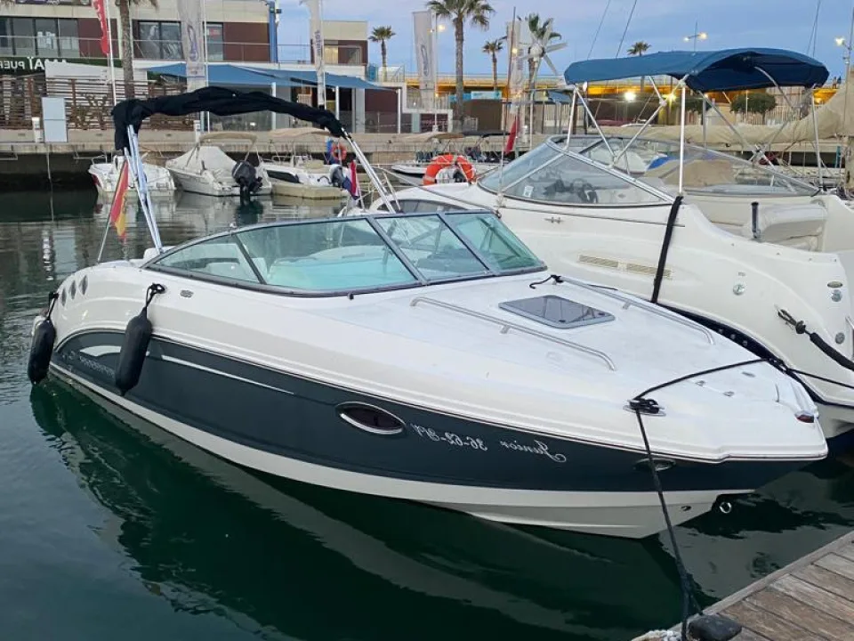 Chaparral 225 SSI used - photo 1