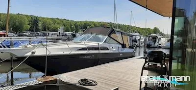 Sea Ray 310 Sad d'occasion - photo 1