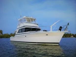 Riviera 43 Convertible used - photo 1