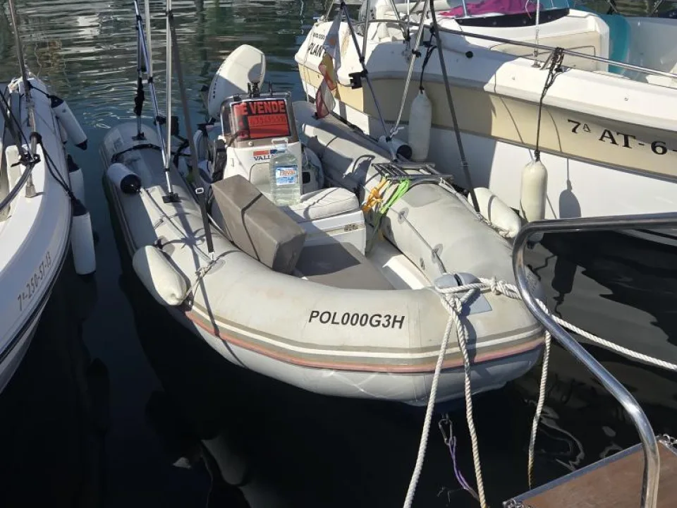 Zodiac Vaillant 450 d'occasion - photo 1
