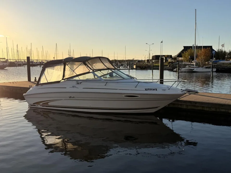 Sea Ray 215 Express Cruiser usato - foto 1