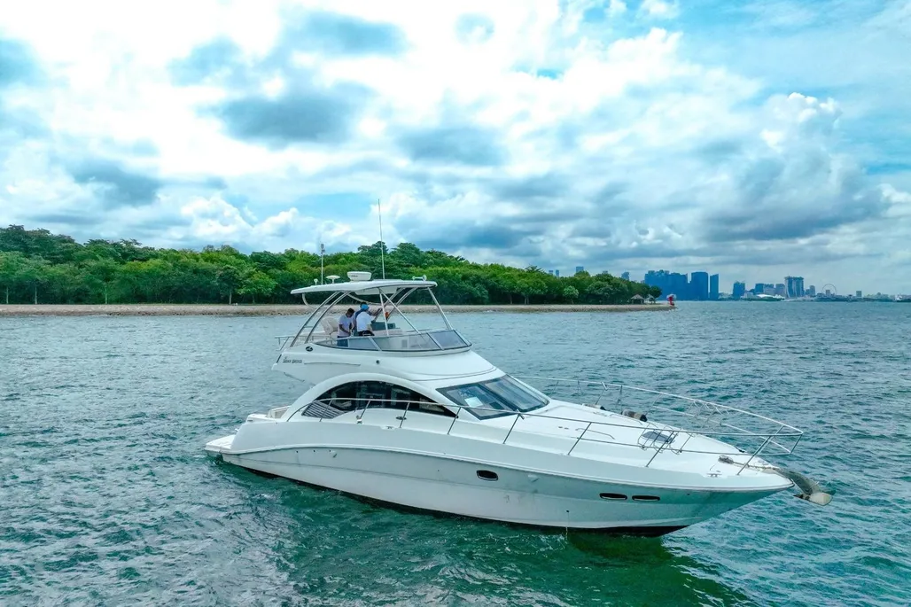 Sea Ray 47 Sedan Bridge used - photo 1