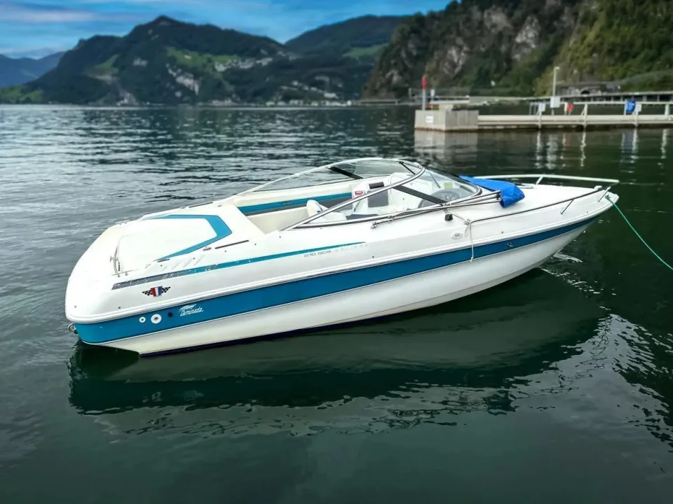 Wellcraft Eclipse 210 gebraucht - Foto 1