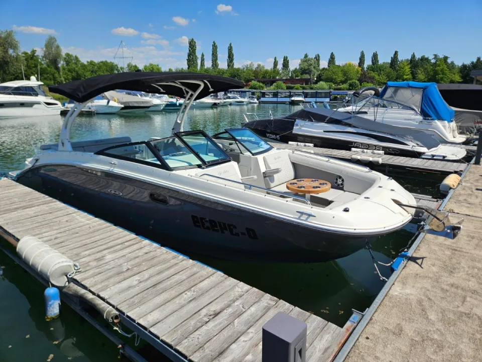 Sea Ray SDX 270 usato - foto 1