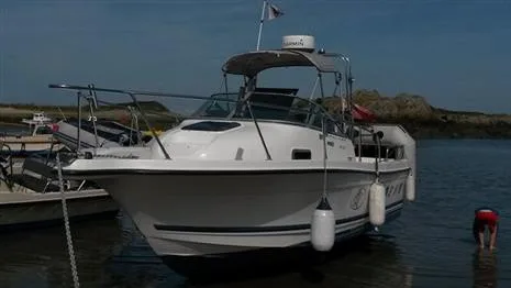 Bayliner TROPHY 2052 gebraucht - Foto 1