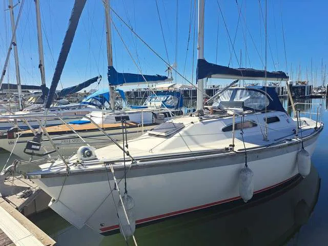 Westerly 310 Regatta gebraucht - Foto 1 Westerly 310 Regatta gebraucht - Foto 1