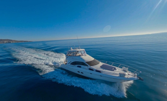 Sea Ray 550 DB usato - foto 1