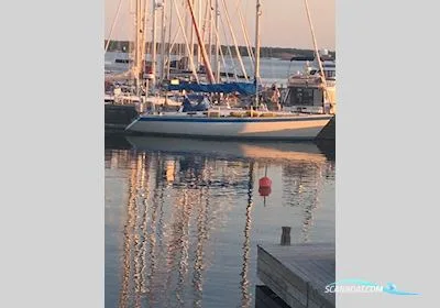 Wauquiez Centurion 38 usato - foto 1