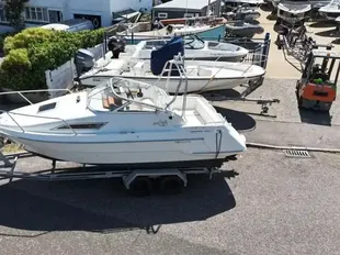 Sealine 210 Senator usato - foto 1