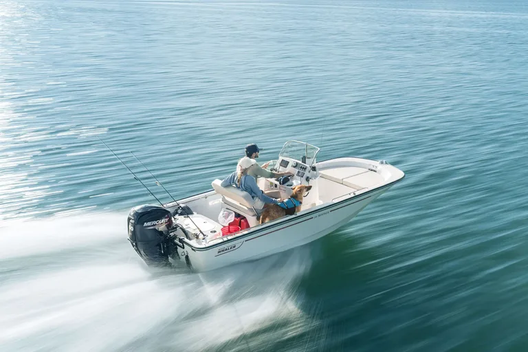 Boston Whaler 150 Montauk