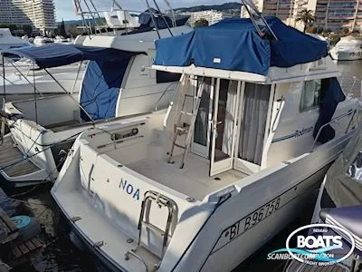 Rodman 900 Fly d'occasion - photo 1