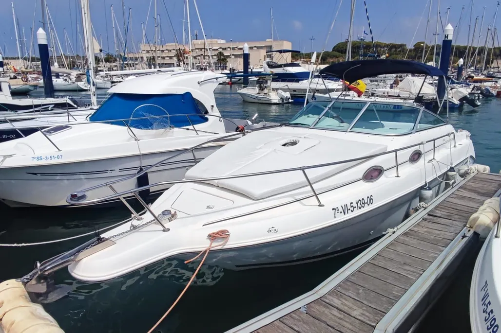 Sea Ray 250 Sundancer usato - foto 1