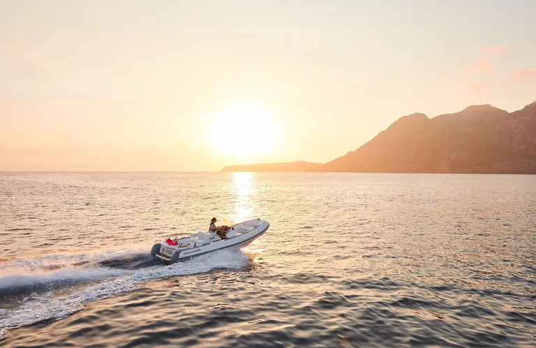 Williams Jet Tenders DieselJet 565