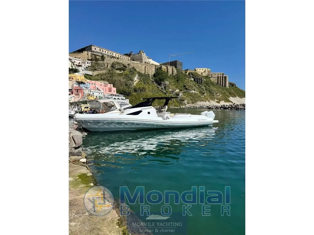 Sea prop 38 fb d'occasion - photo 1