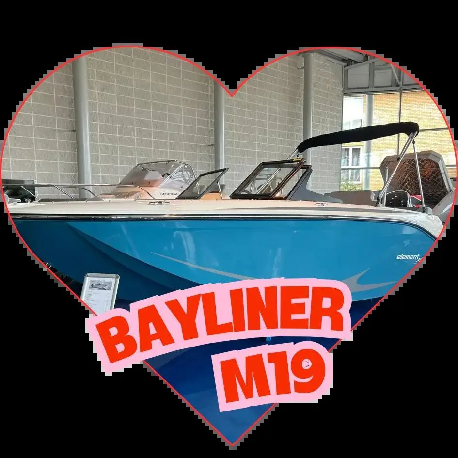 Bayliner M 19 d'occasion - photo 1