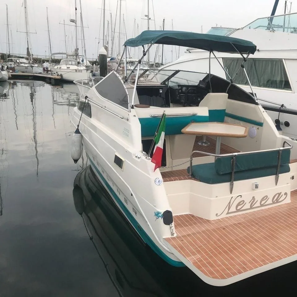 Bayliner Ciera 2255 sunbridge d'occasion - photo 1