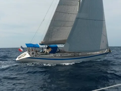 Wauquiez Centurion 49 usato - foto 1